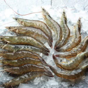 AQUATECH FEED & SEAFOODS PRIVATE LIMITED